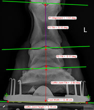 Charger l'image dans la galerie, Kit Metron-DVM bundle + PC tactile : Vos radios équines analysées en quelques secondes!