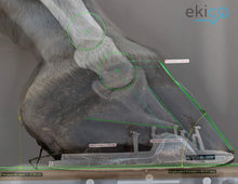 Charger l'image dans la galerie, Kit Metron-Hoof bundle + PC tactile : Le suivi des sabots clé en main