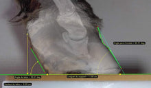 Charger l'image dans la galerie, Kit Metron-DVM bundle + PC tactile : Vos radios équines analysées en quelques secondes!