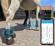 Charger l'image dans la galerie, Pack Tendiboots™ + Metron-DVM bundle