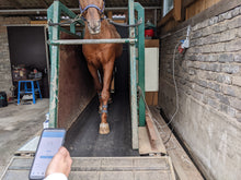 Charger l'image dans la galerie, Pack Tendiboots™ + Metron-DVM bundle