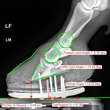 Charger l'image dans la galerie, Pack Tendiboots™ + Metron-DVM bundle