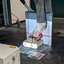 Charger l'image dans la galerie, Pack Tendiboots™ + Metron-DVM bundle