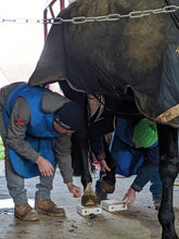 Charger l'image dans la galerie, Kit Metron-DVM bundle + PC tactile : Vos radios équines analysées en quelques secondes!