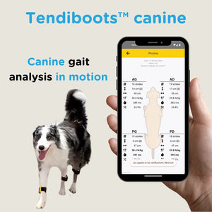 Tendiboots™ Canine 🐶