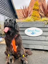Laden Sie das Bild in den Galerie-Viewer, Tendiboots™ Canine Armband-Set – Größe L
