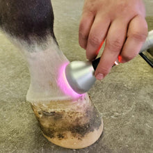 Load image into Gallery viewer, Class IV vet therapy laser Summus P4
