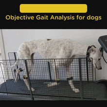 Charger et lire la vidéo dans la visionneuse de la Galerie, Tendiboots™ Canine 🐶
