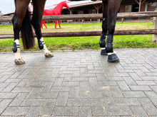 Load image into Gallery viewer, Tendiboots™ version 2023: Gait analysis assessment for horses
