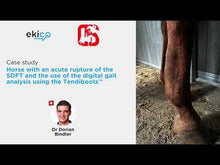 Load and play video in Gallery viewer, Tendiboots™ version 2023: Gait analysis assessment for horses
