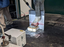 Charger l&#39;image dans la galerie, Kit Metron-DVM bundle + PC tactile : Vos radios équines analysées en quelques secondes!
