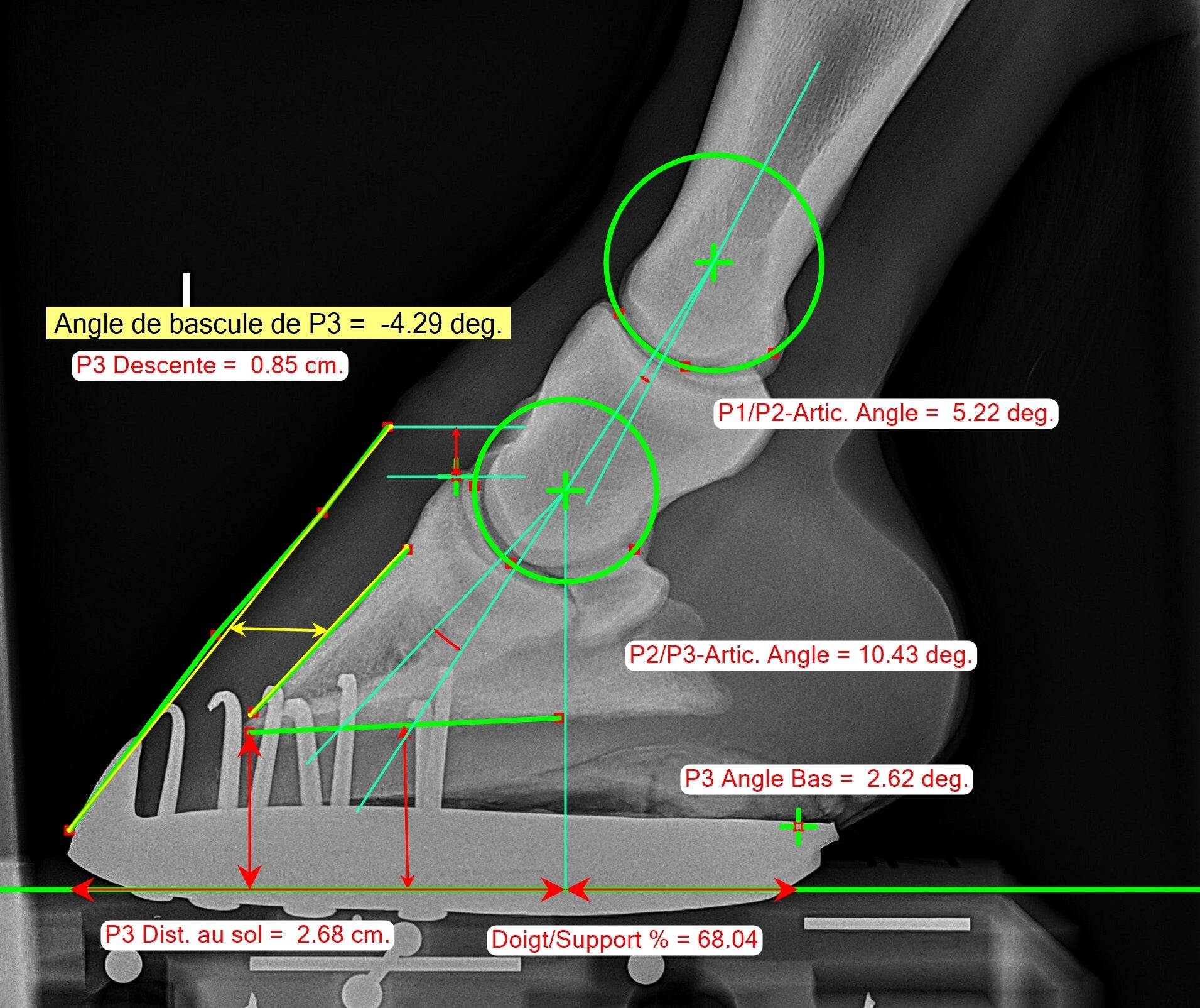 Metron-DVM bundle kit + touchscreen PC: Your equine X-rays analyzed in ...