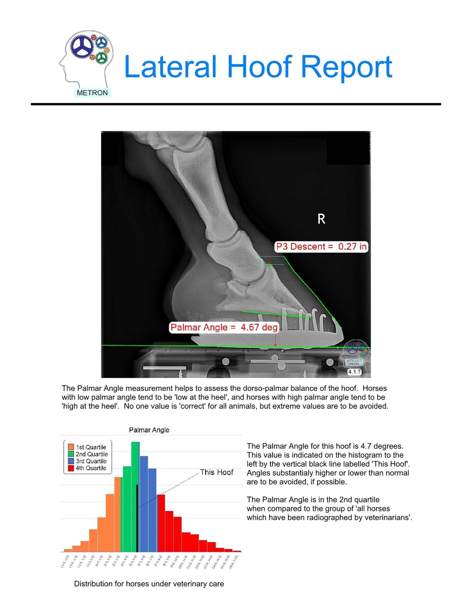 Metron-DVM bundle kit + touchscreen PC: Your equine X-rays analyzed in ...