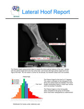 Load image into Gallery viewer, Metron-DVM bundle kit + touchscreen PC: Your equine X-rays analyzed in seconds!
